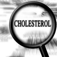 bahan pangan musuh kolesterol