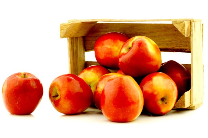 buah apel