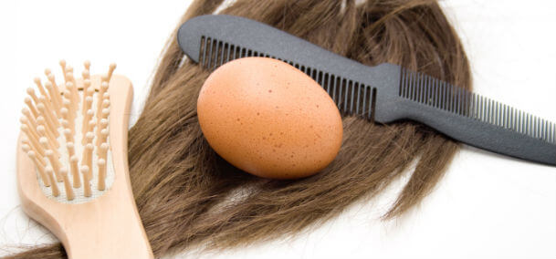 manfaat telur untuk rambut