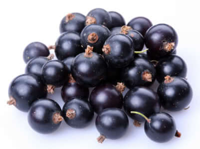 buah acai berry