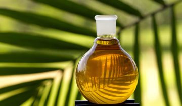 minyak bulus untuk perawatan kulit