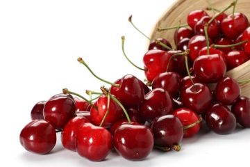 manfaat buah cherry