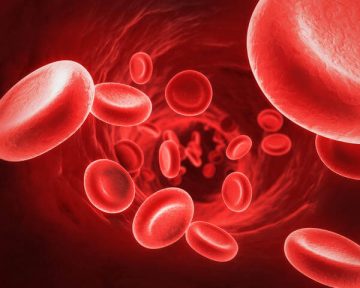 penyebab anemia
