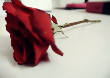 Ketika Cinta Tak Harus Berwujud Bunga
